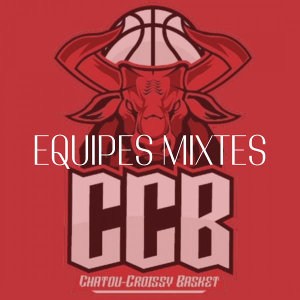 Équipes mixtes